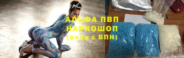 гидра Белокуриха