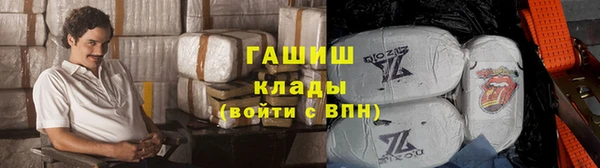 гидра Белокуриха