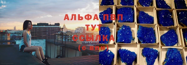 гидра Белокуриха