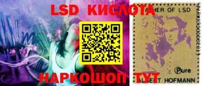 apvp Гай