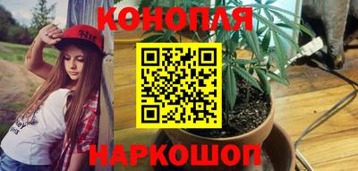 дживик Гатчина