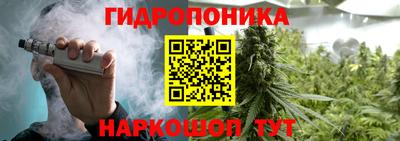 дживик Гатчина