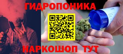 apvp Гай