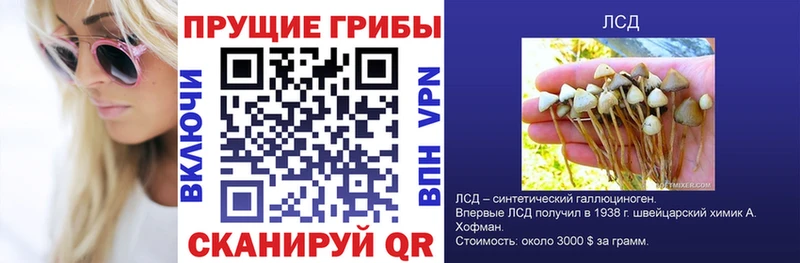 Галлюциногенные грибы Magic Shrooms  blacksprut онион  Дальнегорск 