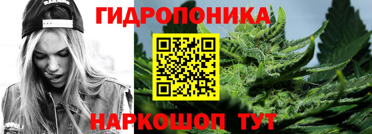 Канабис ГИДРОПОН Дальнегорск