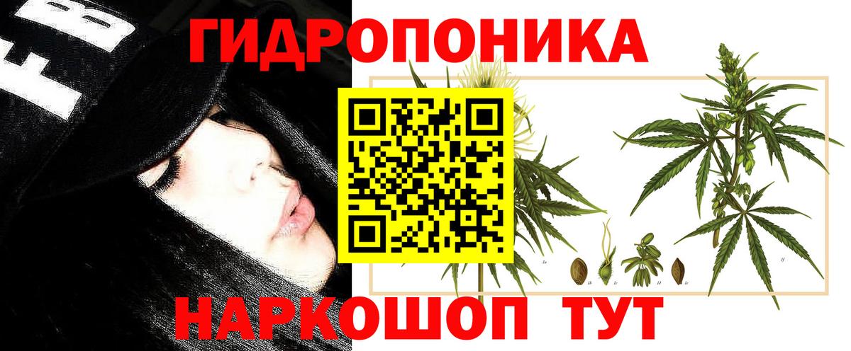 Каннабис планчик Дальнегорск